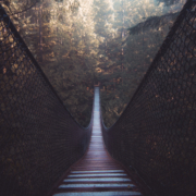 A Life Between Lives session