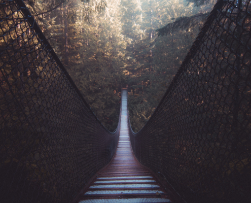 A Life Between Lives session